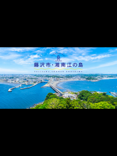 [x]藤澤五月が激痩せして"ボディビル"に転職した真相...現在の姿に驚きを隠せない...『ロコ・ソラーレ』美人カーリング選手の韓国人の夫との極秘 ...