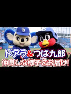 [x]つば九郎&ドアラ 仲良しな様子をお届けします！「あおじるのぷれぜんとです」 - YouTube