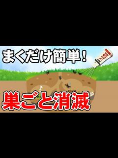 [x]簡単アリ退治！！アリの巣ごと一気に消滅！！！ - YouTube