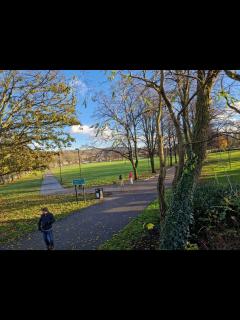 [x]How Hillsborough Park looks now, four months after Tramlines