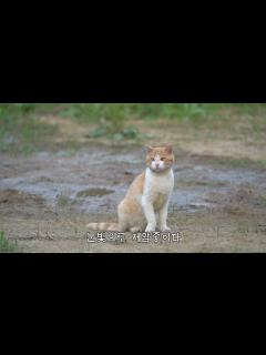 [x]뚱땅이가 자주 다치는 이유를 알 것 같다 - YouTube