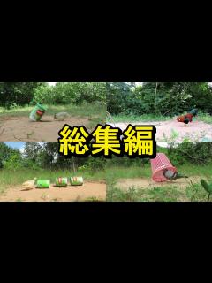 [x]罠にかかるシーンを厳選！！30種類の罠と鳥たちの名演技をお楽しみください🐥🐥 - YouTube
