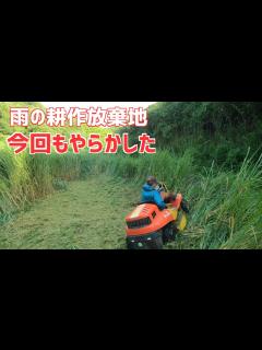 [x]雨の耕作放棄地｜空調レインウエアー着てススキジャングルに突入する！ - YouTube