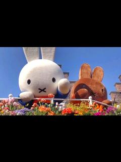 [x]2024.3.13㈬15:00 🐰ミッフィーセレブレーションパレード チームエキサイト ハウステンボス - YouTube