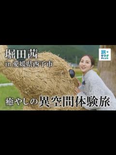 [x]【堀田茜 in 愛媛県西予市】6年越しの再会に感動！？ - YouTube