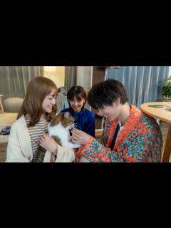 [x]安達祐実×倉科カナ×渡邊圭祐、ネコ好き男女3人の共同生活／映画『三日月とネコ』予告編 - YouTube