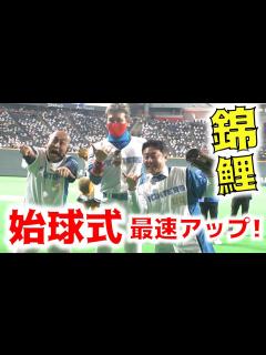 [x]錦鯉が史上初のこんにちは投法！札幌ドームがどよめいた！！ - YouTube