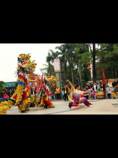 [x]带你欣赏东莞客家麒麟舞：凡是麒麟踩过之处，皆能带来好运气|麒麟|麒麟舞|客家人_新浪新闻