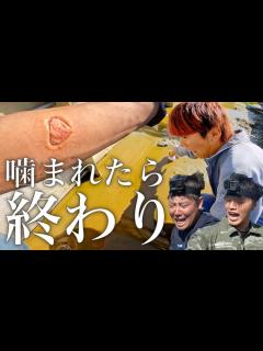 [x]噛まれたら終わり…養殖場の砂に潜む生物を捕まえろ！ - YouTube