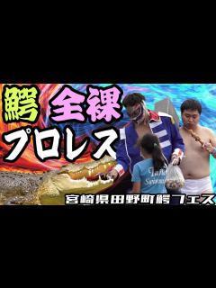 [x]【鰐と全裸とプロレス？】ジャマイカ仕込みの青年部が田野町の鰐フェスに参加してみた【宮崎県田野町】 - YouTube