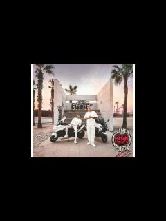 [x]Bonez MC & RAF - Camora Diamant (ACAPELLA) - YouTube