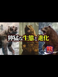 [x]【ゆっくり解説】クマ！獰猛な生態と進化…そして新種「ピズリー」とは？！ - YouTube
